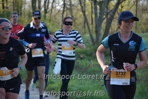 Marathon_Cheverny2025_Dimanche/2025CHEVERNY_004267.JPG