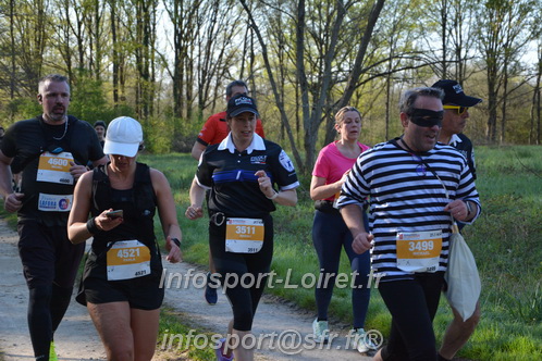 Marathon_Cheverny2025_Dimanche/2025CHEVERNY_004271.JPG