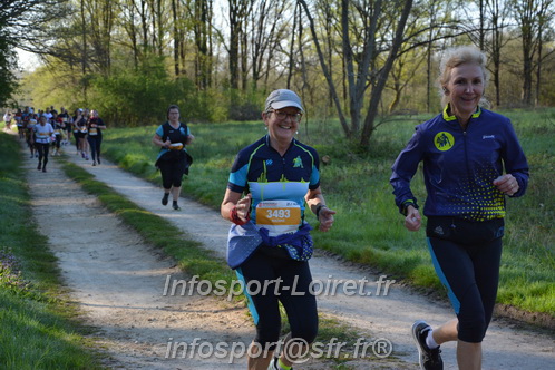 Marathon_Cheverny2025_Dimanche/2025CHEVERNY_004321.JPG