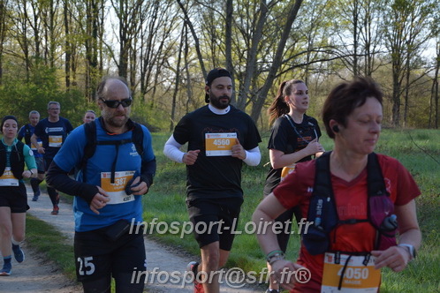 Marathon_Cheverny2025_Dimanche/2025CHEVERNY_004435.JPG
