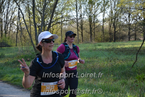 Marathon_Cheverny2025_Dimanche/2025CHEVERNY_004483.JPG