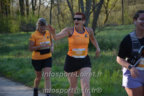 Marathon_Cheverny2025_Dimanche/2025CHEVERNY_004529.JPG