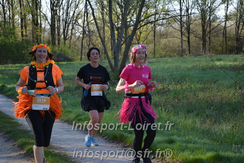 Marathon_Cheverny2025_Dimanche/2025CHEVERNY_004557.JPG