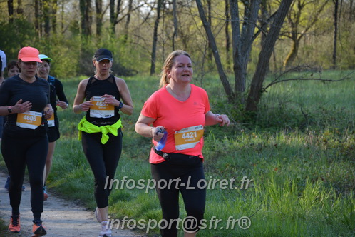 Marathon_Cheverny2025_Dimanche/2025CHEVERNY_004569.JPG