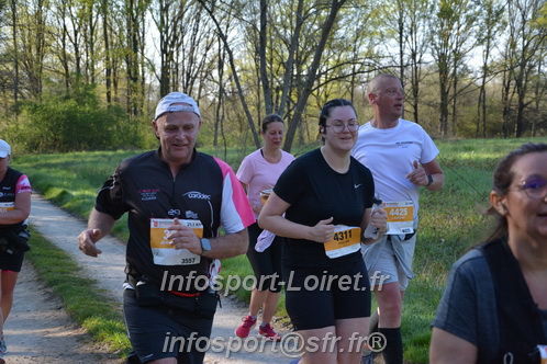 Marathon_Cheverny2025_Dimanche/2025CHEVERNY_004650.JPG