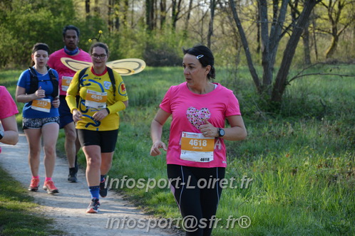 Marathon_Cheverny2025_Dimanche/2025CHEVERNY_004694.JPG