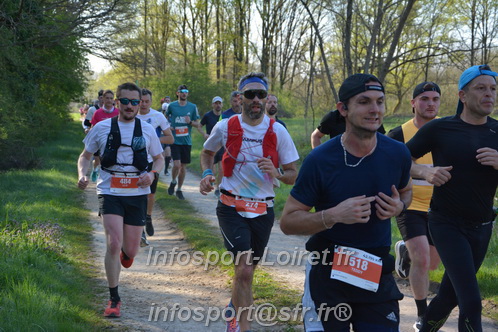Marathon_Cheverny2025_Dimanche/2025CHEVERNY_005149.JPG