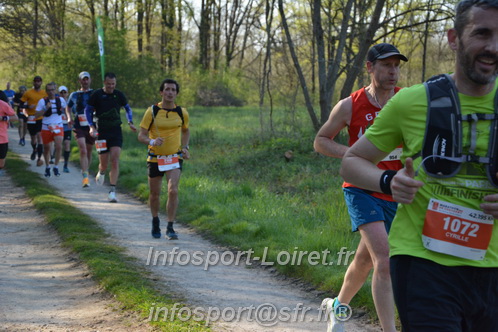 Marathon_Cheverny2025_Dimanche/2025CHEVERNY_005167.JPG