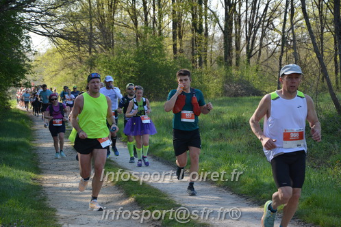 Marathon_Cheverny2025_Dimanche/2025CHEVERNY_005538.JPG
