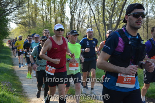 Marathon_Cheverny2025_Dimanche/2025CHEVERNY_005615.JPG