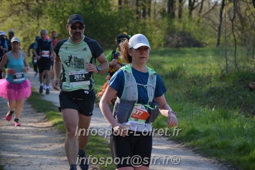 Marathon_Cheverny2025_Dimanche/2025CHEVERNY_005731.JPG