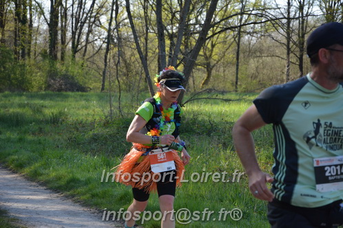 Marathon_Cheverny2025_Dimanche/2025CHEVERNY_005733.JPG