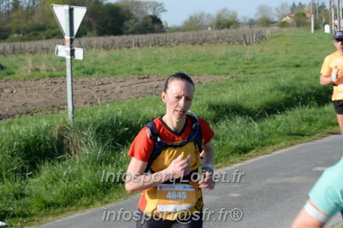 Marathon_Cheverny2025_Dimanche/2025CHEVERNY_009311.JPG