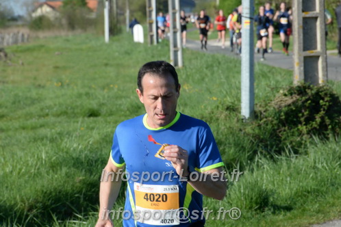 Marathon_Cheverny2025_Dimanche/2025CHEVERNY_009384.JPG