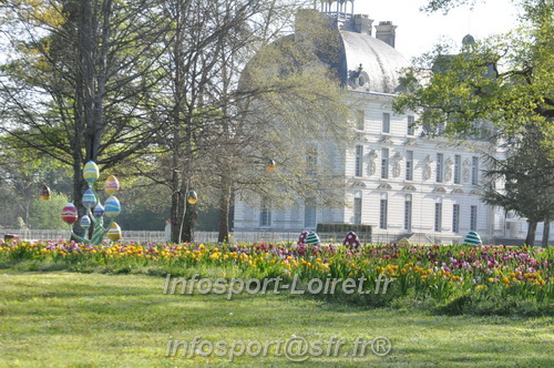 Marathon_Cheverny2025_Dimanche/2025CHEVERNY_012305.JPG