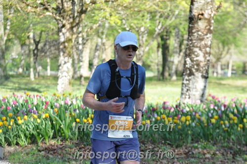 Marathon_Cheverny2025_Dimanche/2025CHEVERNY_012925.JPG