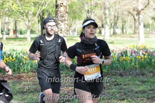 Marathon_Cheverny2025_Dimanche/2025CHEVERNY_013115.JPG