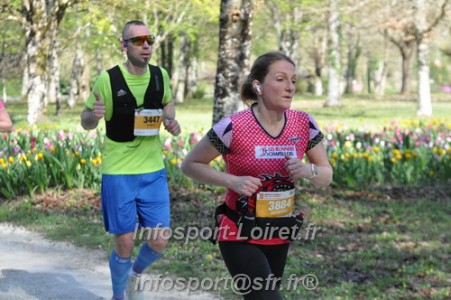 Marathon_Cheverny2025_Dimanche/2025CHEVERNY_013492.JPG
