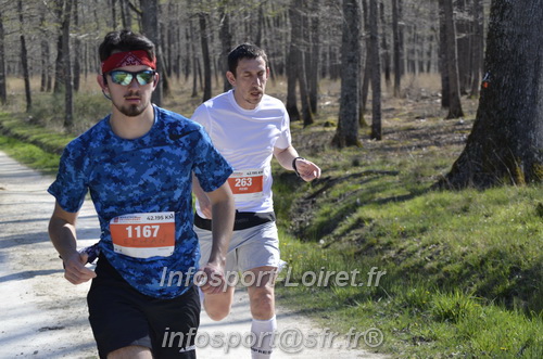 Marathon_Cheverny2025_Dimanche/2025CHEVERNY_015248.JPG