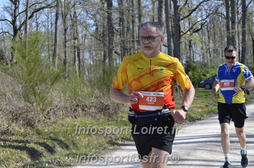 Marathon_Cheverny2025_Dimanche/2025CHEVERNY_015379.JPG