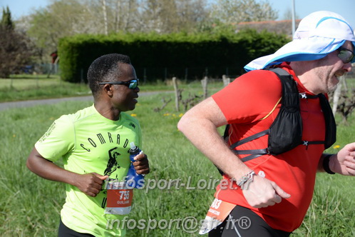 Marathon_Cheverny2025_Dimanche/2025CHEVERNY_016427.JPG