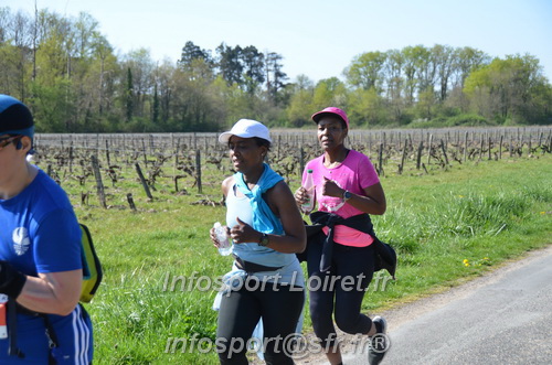 Marathon_Cheverny2025_Dimanche/2025CHEVERNY_018238.JPG