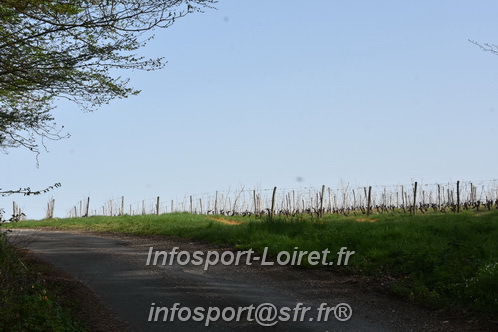 Marathon_Cheverny2025_Samedi_63_35_14km/2025CHEVERNY_65_35_14km_00308.JPG