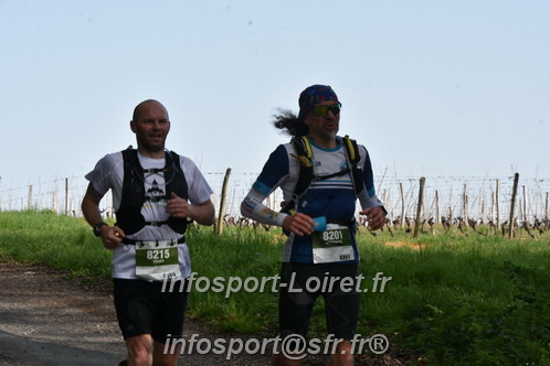 Marathon_Cheverny2025_Samedi_63_35_14km/2025CHEVERNY_65_35_14km_00446.JPG