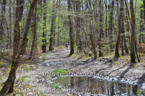 Marathon_Cheverny2025_Samedi_63_35_14km/2025CHEVERNY_65_35_14km_02038.JPG