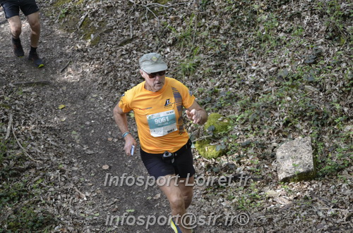 Marathon_Cheverny2025_Samedi_63_35_14km/2025CHEVERNY_65_35_14km_02725.JPG