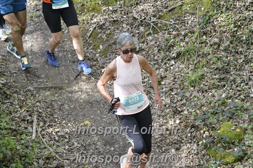 Marathon_Cheverny2025_Samedi_63_35_14km/2025CHEVERNY_65_35_14km_02867.JPG