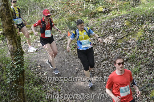 Marathon_Cheverny2025_Samedi_63_35_14km/2025CHEVERNY_65_35_14km_03050.JPG
