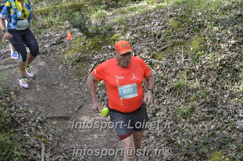 Marathon_Cheverny2025_Samedi_63_35_14km/2025CHEVERNY_65_35_14km_03193.JPG
