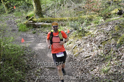 Marathon_Cheverny2025_Samedi_63_35_14km/2025CHEVERNY_65_35_14km_03431.JPG