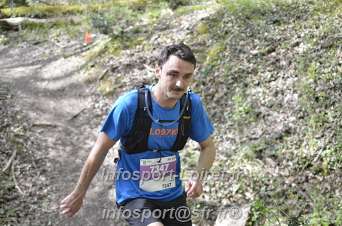 Marathon_Cheverny2025_Samedi_63_35_14km/2025CHEVERNY_65_35_14km_03731.JPG