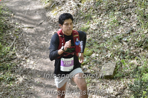 Marathon_Cheverny2025_Samedi_63_35_14km/2025CHEVERNY_65_35_14km_04190.JPG