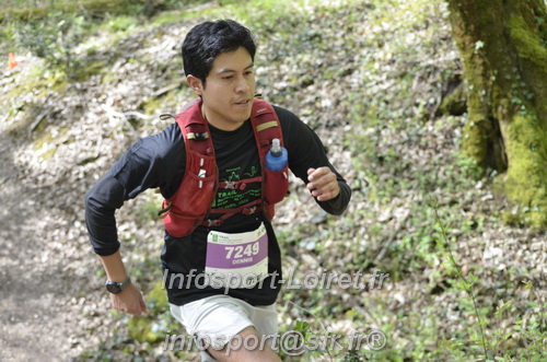 Marathon_Cheverny2025_Samedi_63_35_14km/2025CHEVERNY_65_35_14km_04191.JPG