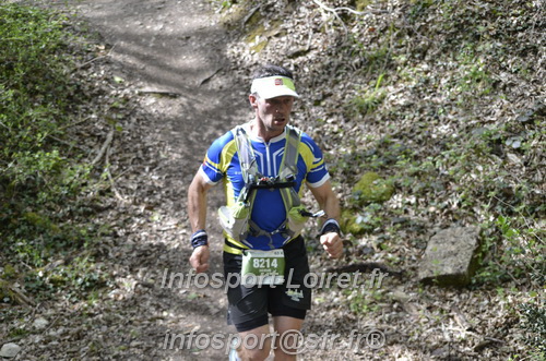 Marathon_Cheverny2025_Samedi_63_35_14km/2025CHEVERNY_65_35_14km_04203.JPG
