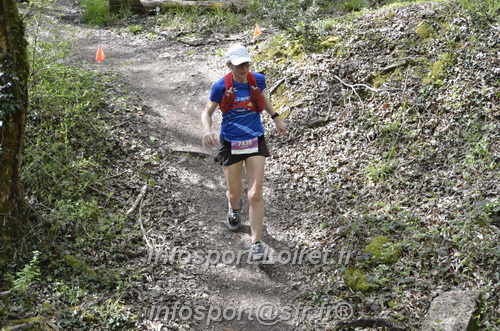 Marathon_Cheverny2025_Samedi_63_35_14km/2025CHEVERNY_65_35_14km_04353.JPG