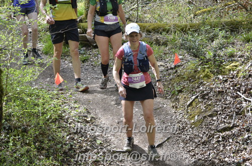Marathon_Cheverny2025_Samedi_63_35_14km/2025CHEVERNY_65_35_14km_04649.JPG