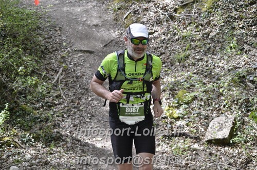 Marathon_Cheverny2025_Samedi_63_35_14km/2025CHEVERNY_65_35_14km_04794.JPG