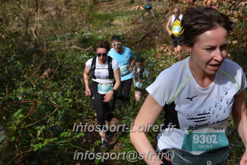 Marathon_Cheverny2025_Samedi_63_35_14km/2025CHEVERNY_65_35_14km_05171.JPG