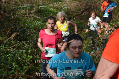 Marathon_Cheverny2025_Samedi_63_35_14km/2025CHEVERNY_65_35_14km_05314.JPG