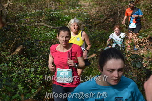 Marathon_Cheverny2025_Samedi_63_35_14km/2025CHEVERNY_65_35_14km_05315.JPG