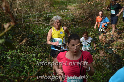 Marathon_Cheverny2025_Samedi_63_35_14km/2025CHEVERNY_65_35_14km_05316.JPG