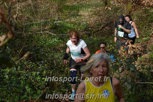 Marathon_Cheverny2025_Samedi_63_35_14km/2025CHEVERNY_65_35_14km_05319.JPG