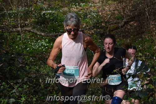 Marathon_Cheverny2025_Samedi_63_35_14km/2025CHEVERNY_65_35_14km_05339.JPG