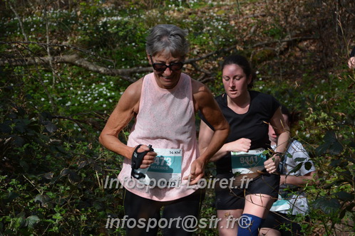 Marathon_Cheverny2025_Samedi_63_35_14km/2025CHEVERNY_65_35_14km_05340.JPG