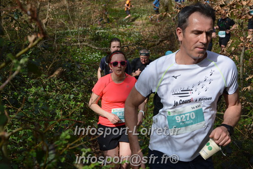 Marathon_Cheverny2025_Samedi_63_35_14km/2025CHEVERNY_65_35_14km_05351.JPG