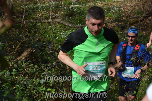 Marathon_Cheverny2025_Samedi_63_35_14km/2025CHEVERNY_65_35_14km_05376.JPG